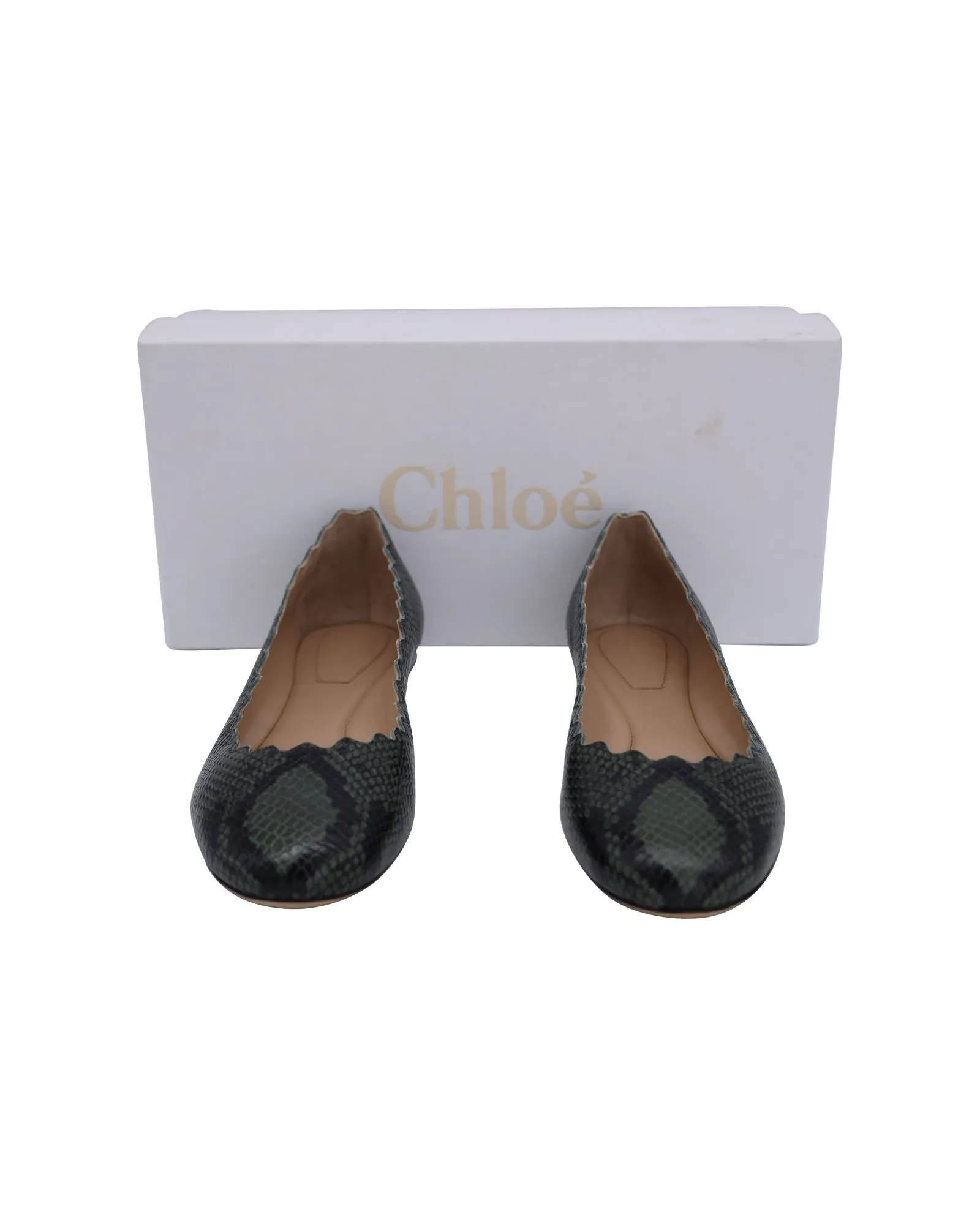 Chloe Python-Embossed Lauren Ballet Flats in Green Leather