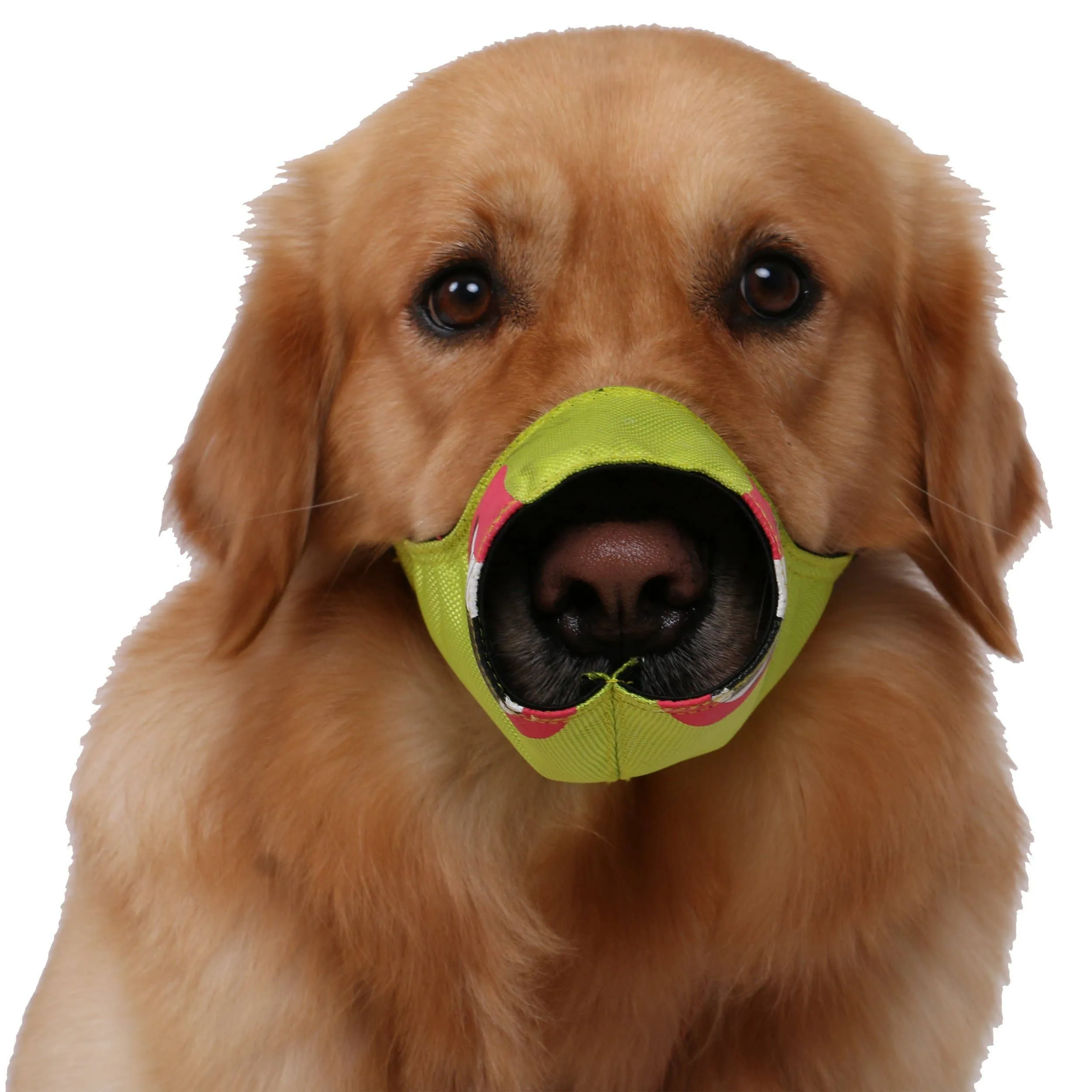 Pet Life Fumigation Adjustable Designer Green/Red Dog Muzzle