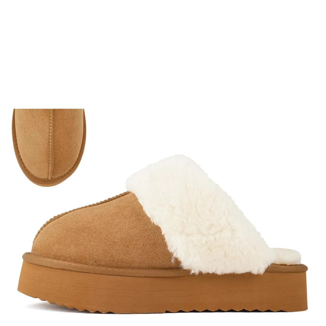 Tan Darwin Slip On's